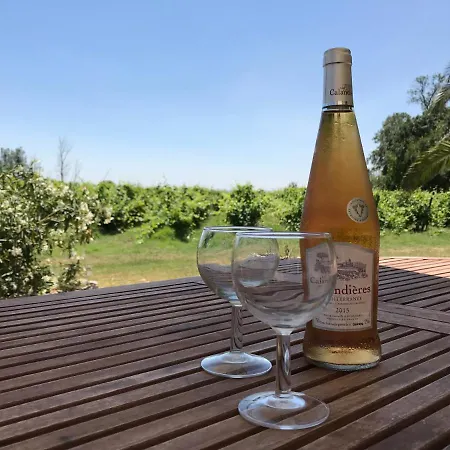 Domaine De Favette Coursan