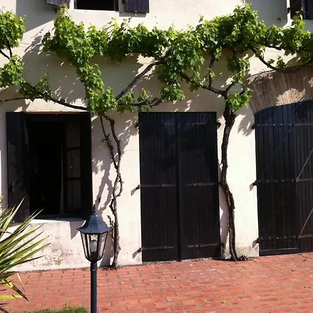 Domaine De Favette * Coursan