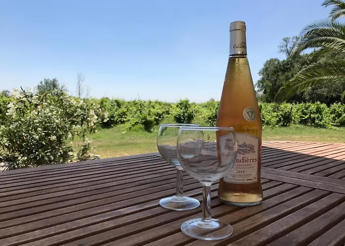Domaine De Favette Coursan