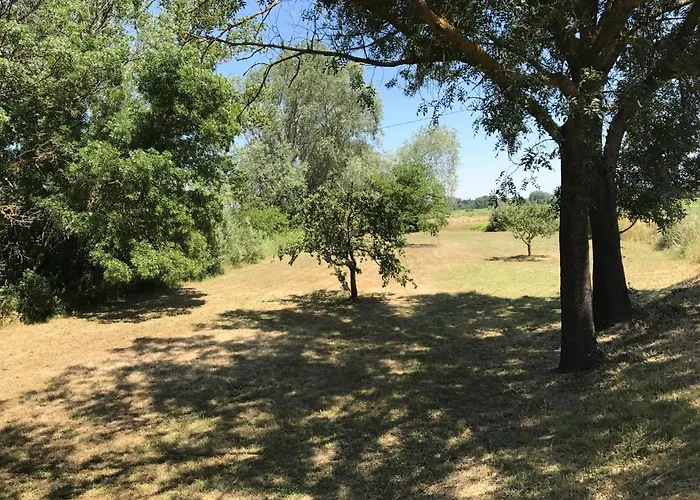 Domaine De Favette Coursan